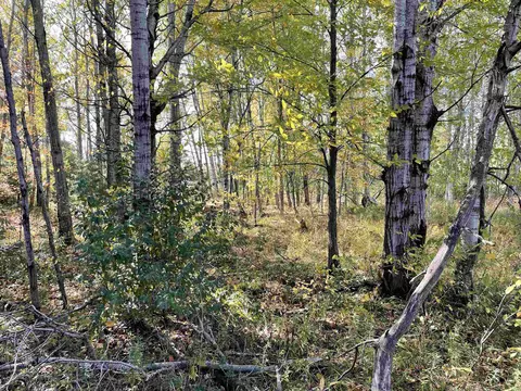 1 8, Manton, MI 49663 photo 32