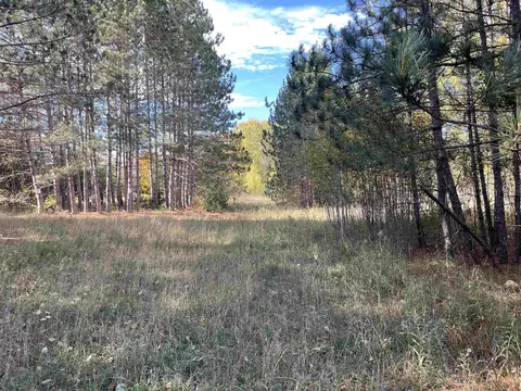 1 8, Manton, MI 49663 photo 11