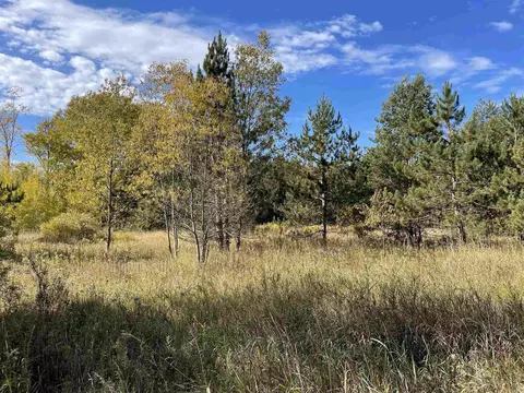 1 8, Manton, MI 49663 photo 18