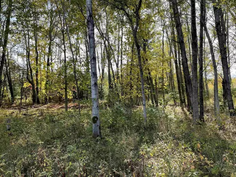 1 8, Manton, MI 49663 photo 35