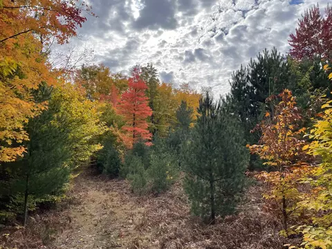 1 8, Manton, MI 49663 photo 50