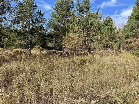 1 8, Manton, MI 49663 photo 19