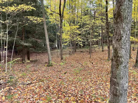 1 8, Manton, MI 49663 photo 45