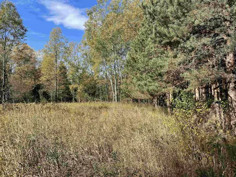 1 8, Manton, MI 49663 photo 37