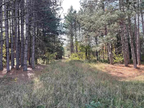 1 8, Manton, MI 49663 photo 13