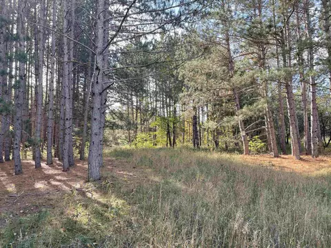 1 8, Manton, MI 49663 photo 12