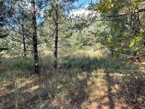 1 8, Manton, MI 49663 photo 30