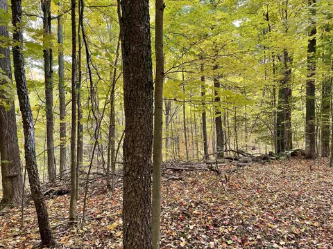 1 8, Manton, MI 49663 photo 40