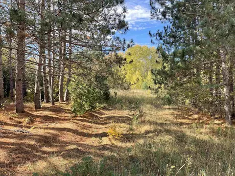 1 8, Manton, MI 49663 photo 17