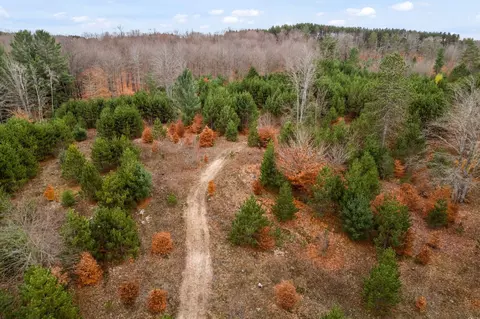 1 8, Manton, MI 49663
