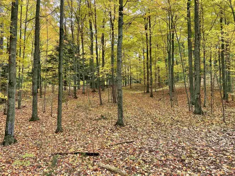 1 8, Manton, MI 49663 photo 46