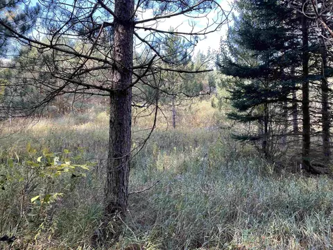 1 8, Manton, MI 49663 photo 31
