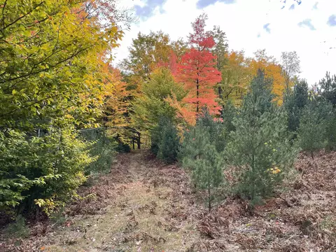 1 8, Manton, MI 49663 photo 49
