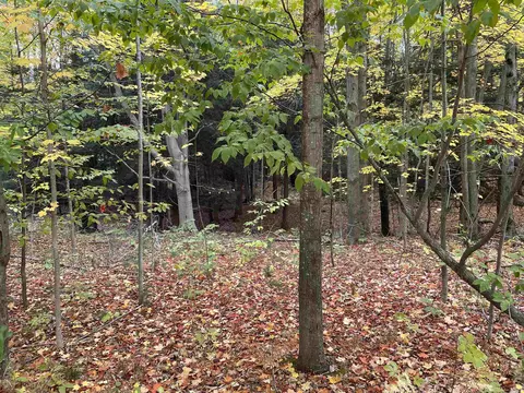 1 8, Manton, MI 49663 photo 47
