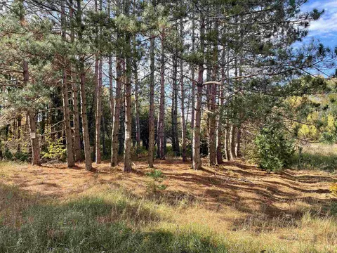 1 8, Manton, MI 49663 photo 14