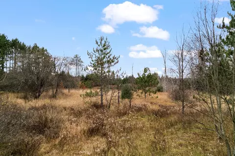 1 8, Manton, MI 49663 photo 6