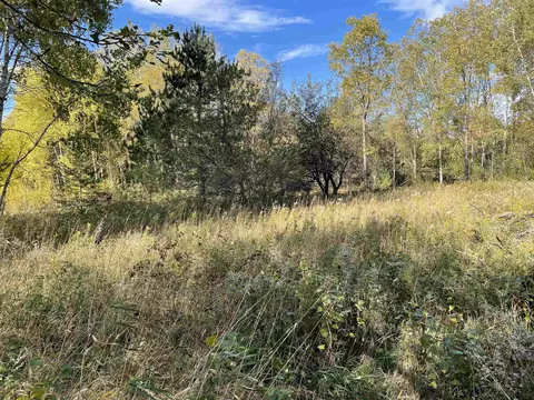1 8, Manton, MI 49663 photo 39