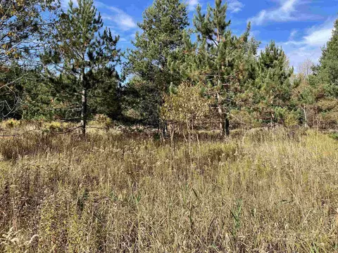 1 8, Manton, MI 49663 photo 25