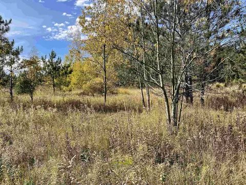 1 8, Manton, MI 49663 photo 20