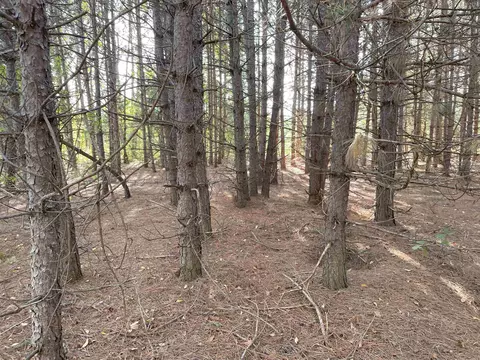 1 8, Manton, MI 49663 photo 29
