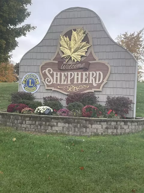 8160 Upton #LOT : 9, Shepherd, MI 48883 photo 37