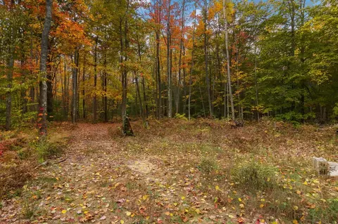 Parcel A Riley, Interlochen, MI 49643 photo 16