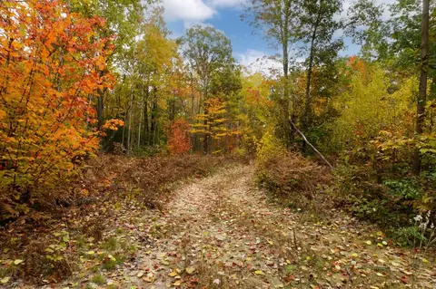 Parcel A Riley, Interlochen, MI 49643 photo 15