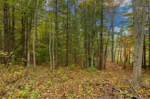 Parcel A Riley, Interlochen, MI 49643 photo 18