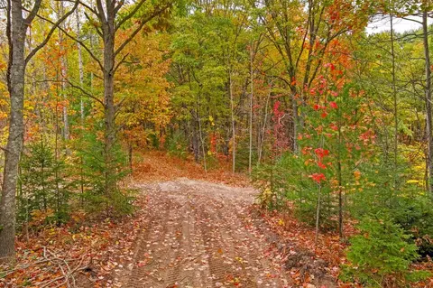 Parcel A Riley, Interlochen, MI 49643 photo 8