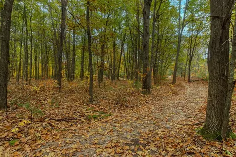 Parcel A Riley, Interlochen, MI 49643 photo 12