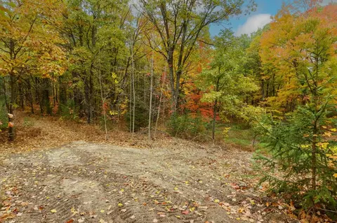Parcel A Riley, Interlochen, MI 49643 photo 4