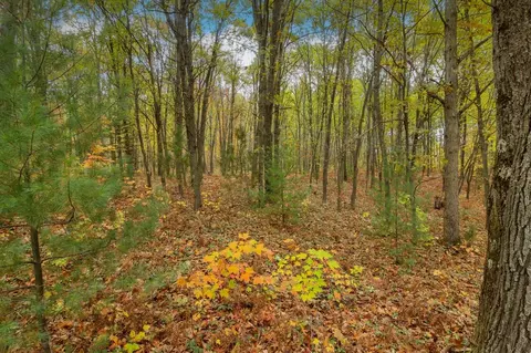 Parcel A Riley, Interlochen, MI 49643 photo 9