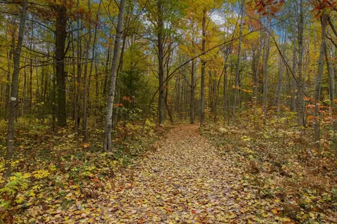 Parcel A Riley, Interlochen, MI 49643 photo 20