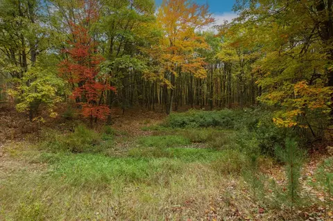 Parcel A Riley, Interlochen, MI 49643 photo 6