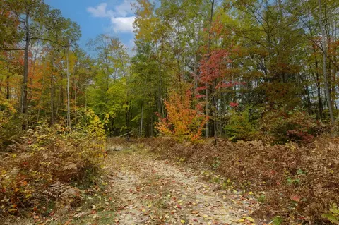Parcel A Riley, Interlochen, MI 49643 photo 17