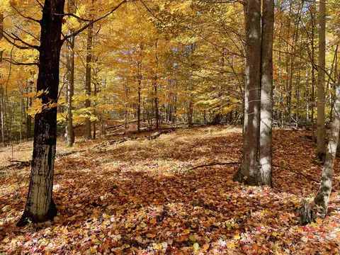 N/a W Heath, Rose City, MI 48654