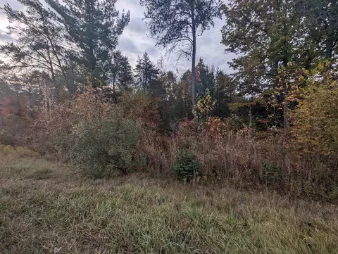 N/a E Huron, Omer, MI 48749 photo 2