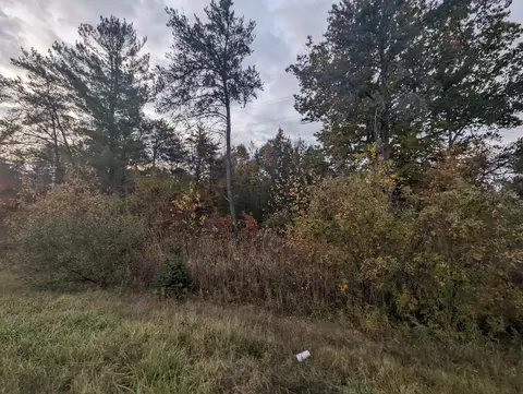 N/a E Huron, Omer, MI 48749 photo 3