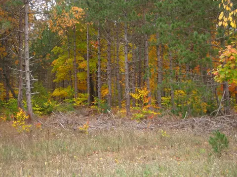 75 E Acres E Kasson, Maple City, MI 49664 photo 6