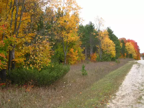75 E Acres E Kasson, Maple City, MI 49664 photo 7