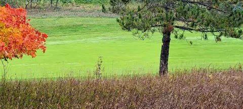 unit 36 golf meadows LOT : 36, Bellaire, MI 49615