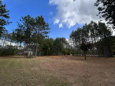 9701 E 12, Manton, MI 49663 photo 10