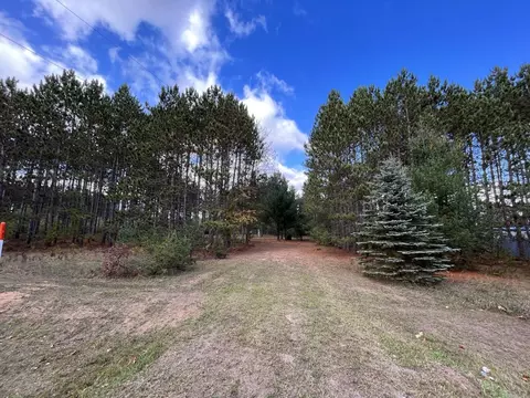 9701 E 12, Manton, MI 49663 photo 5