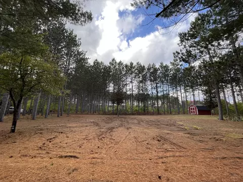 9701 E 12, Manton, MI 49663 photo 9