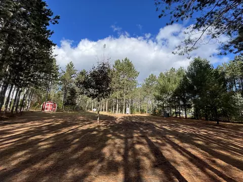 9701 E 12, Manton, MI 49663 photo 3