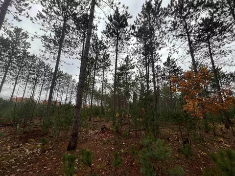 9701 E 12, Manton, MI 49663 photo 7