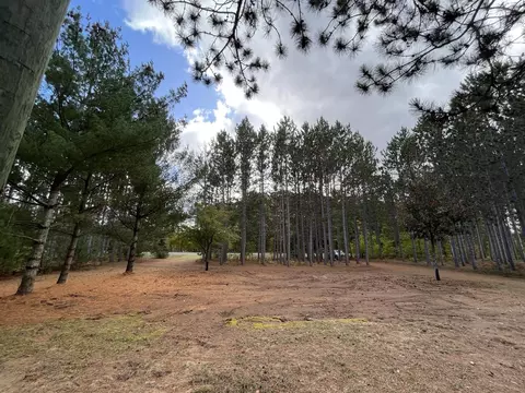 9701 E 12, Manton, MI 49663 photo 11