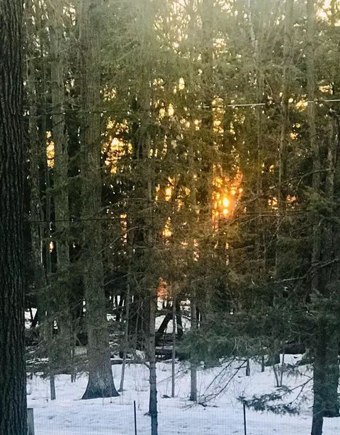 40 N Ralph #LOT : 74, Au Gres, MI 48703 photo 46