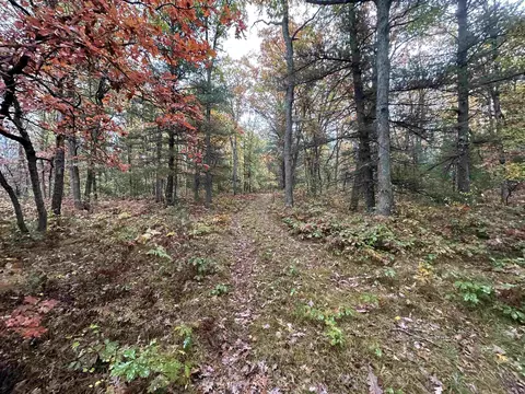 00 W 48 12, Wellston, MI 49689
