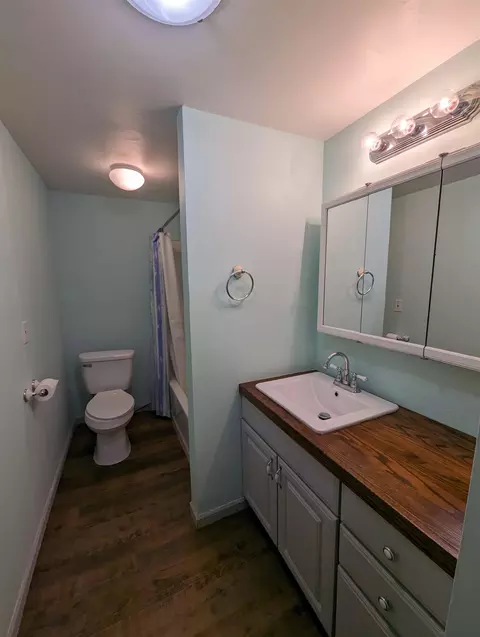 403 W Michigan, Au Gres, MI 48703 photo 13
